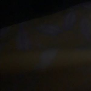 Meet your Posher, Fauna